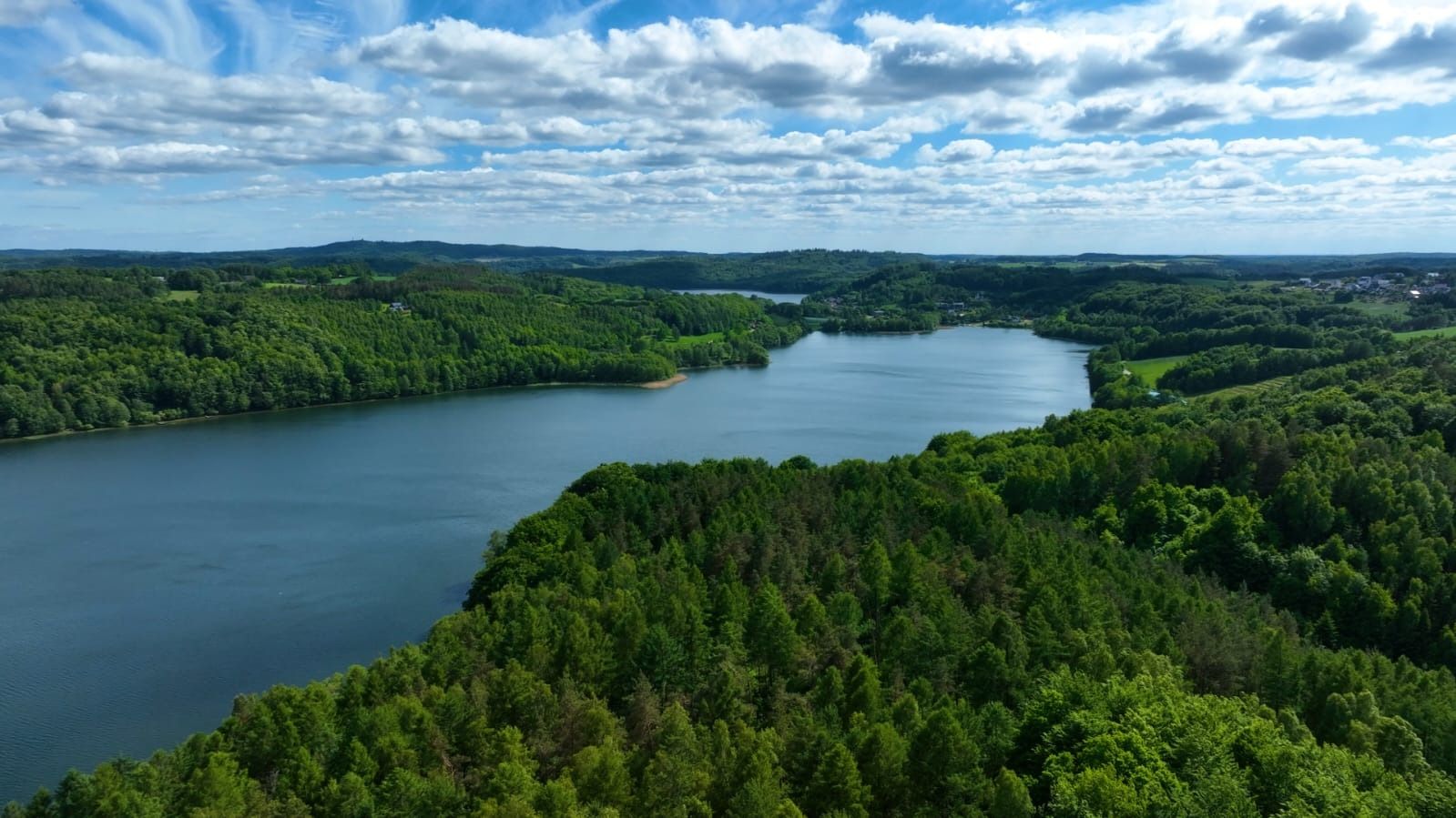 Jezioro wśród lasów z lotu ptaka